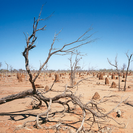 Fototapete Australisches Outback Motiv Wüste & Himmel
