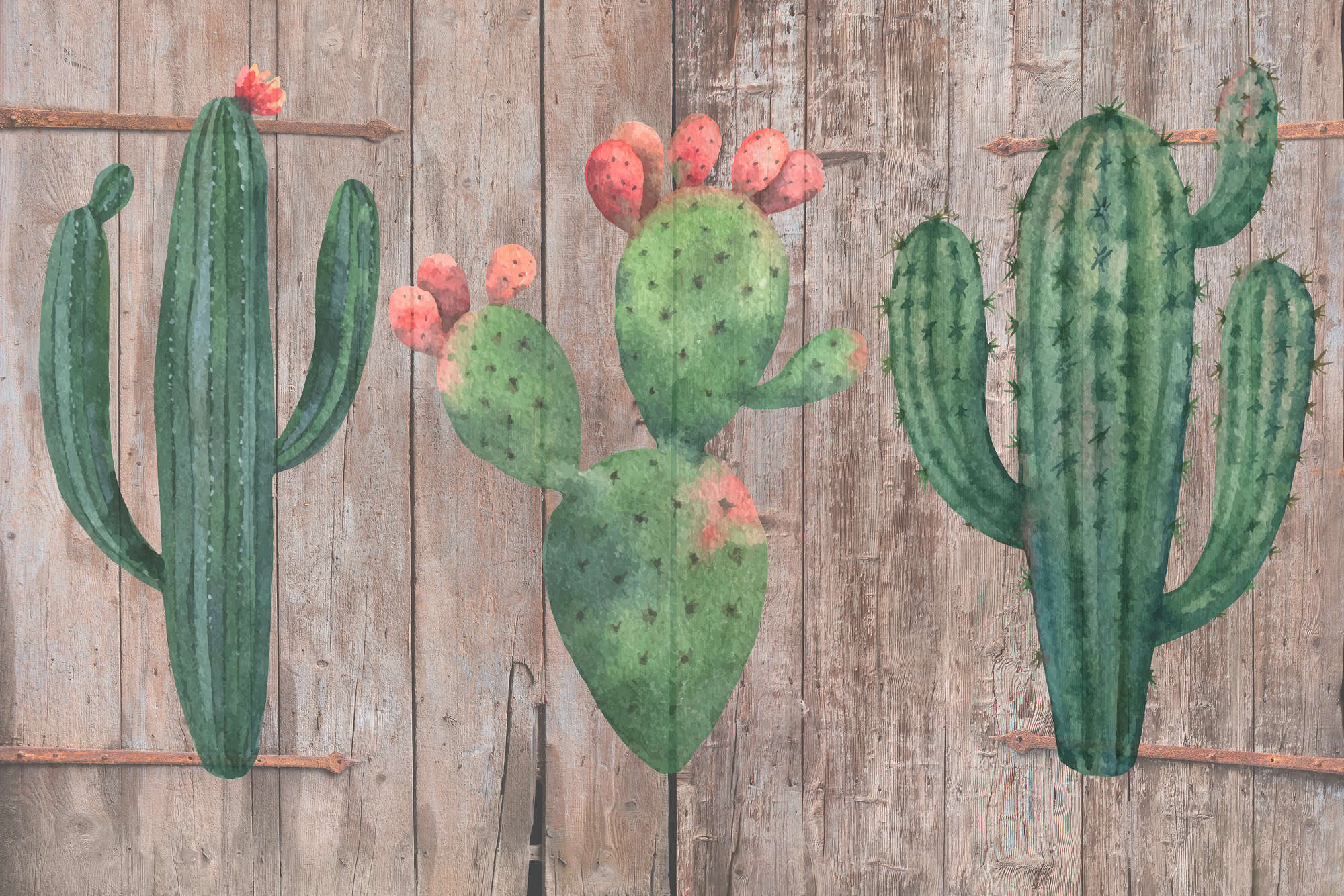             Grafik Fototapete Holzzaun mit Kaktus Zeichnungen auf Premium Glattvlies
        