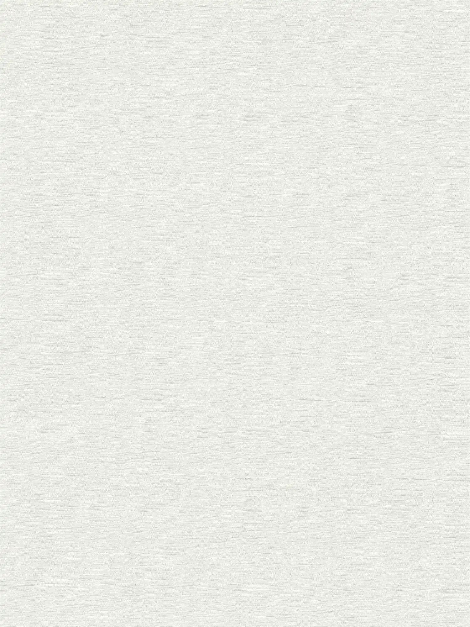 Vliestapete mit feinem Strukturmuster – Hellgrau, Weiß
