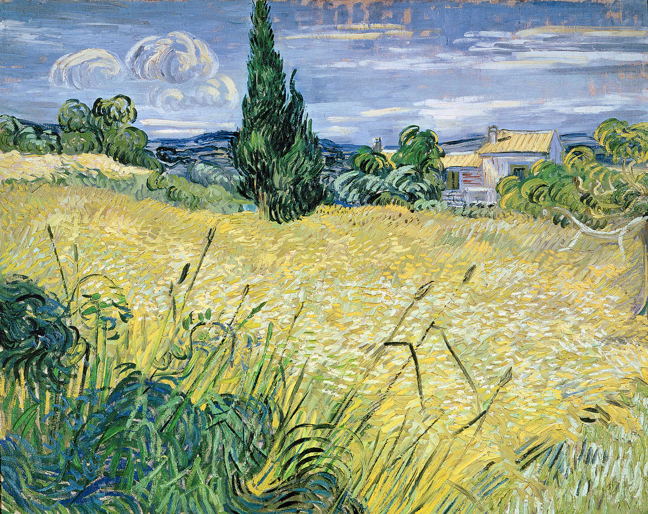             Fototapete "Grünes Weizenfeld mit Zypresse" von Vincent van Gogh
        