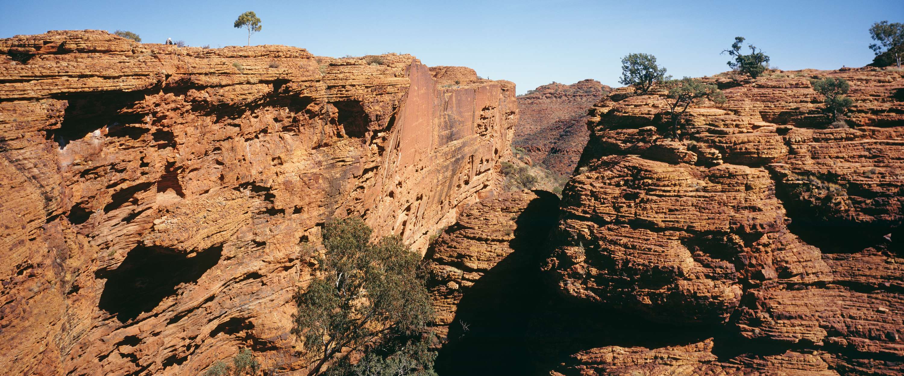             Kings Canyon – Fototapete mit Felsenschlucht
        