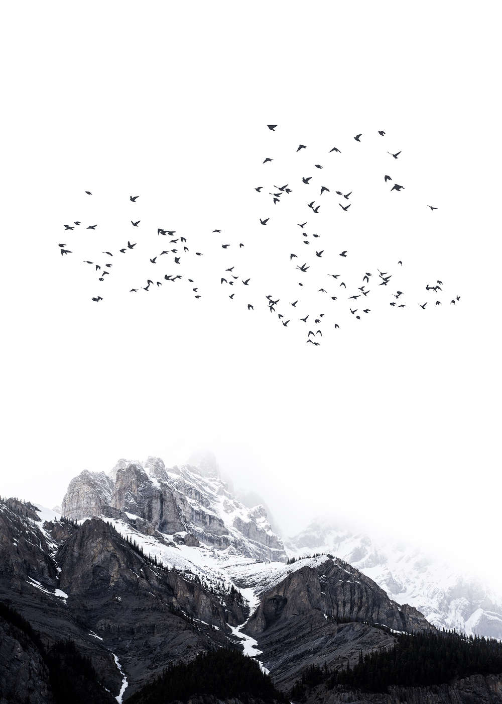             Landschaft Fototapete schneebedeckte Berge & Zugvögel
        