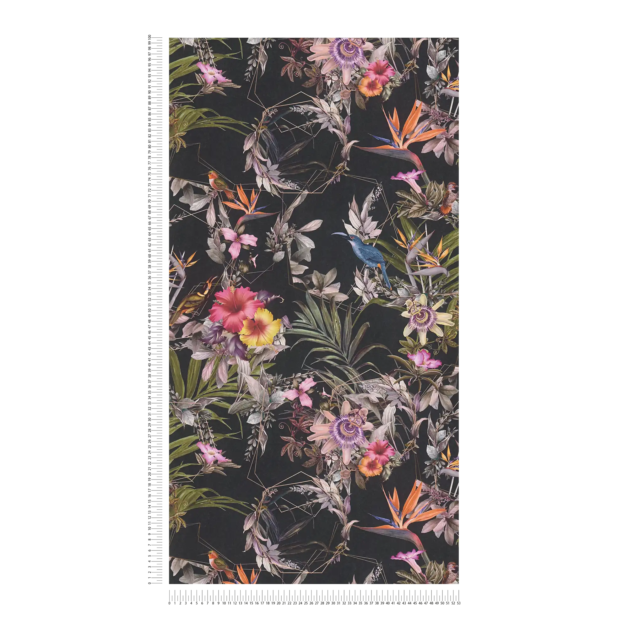             Dunkle Blumentapete Hibiskus & Blätter – Bunt, Schwarz
        