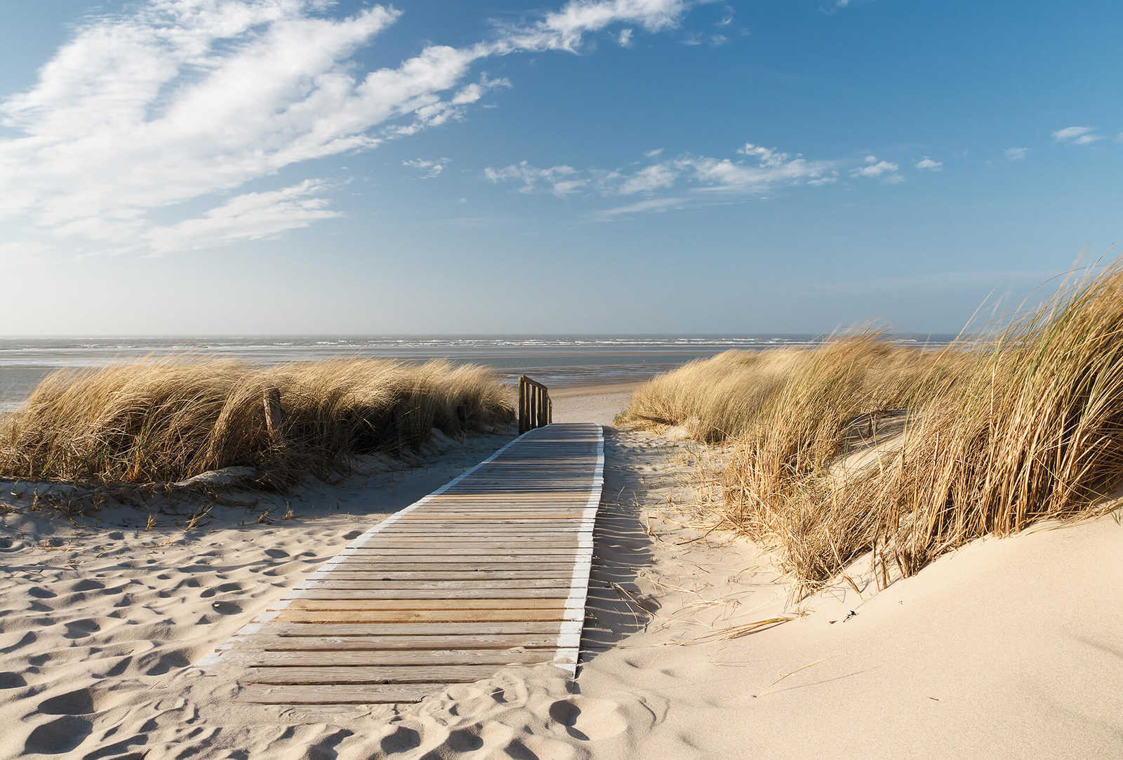         Fototapete Strand mit Dünen und Weg – Creme, Blau, Weiß
    