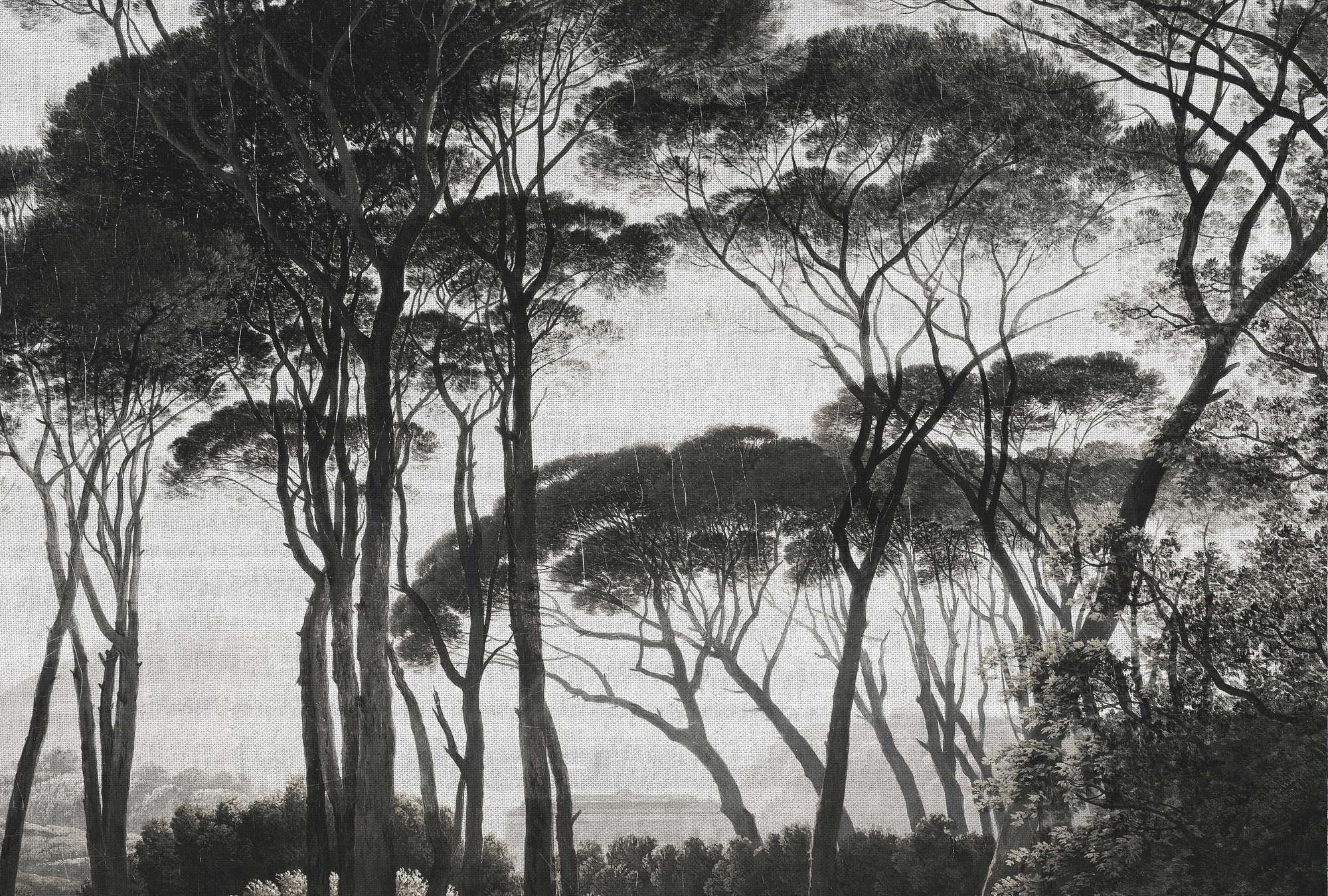             Dschungel Fototapete mit Retro & Leinen-Optik – Grau, Schwarz
        
