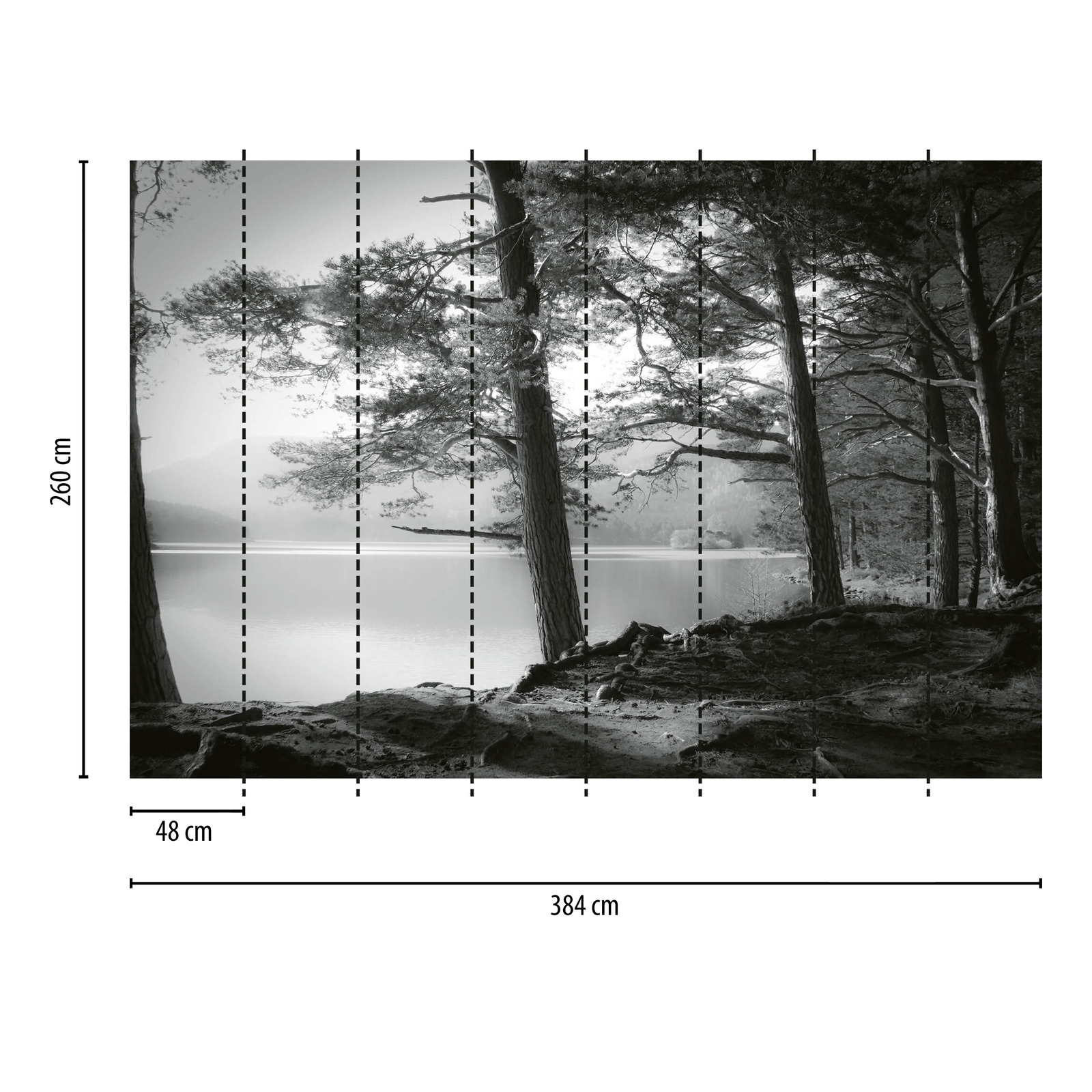             Fototapete Wald mit See – Schwarz, Weiß, Grau
        