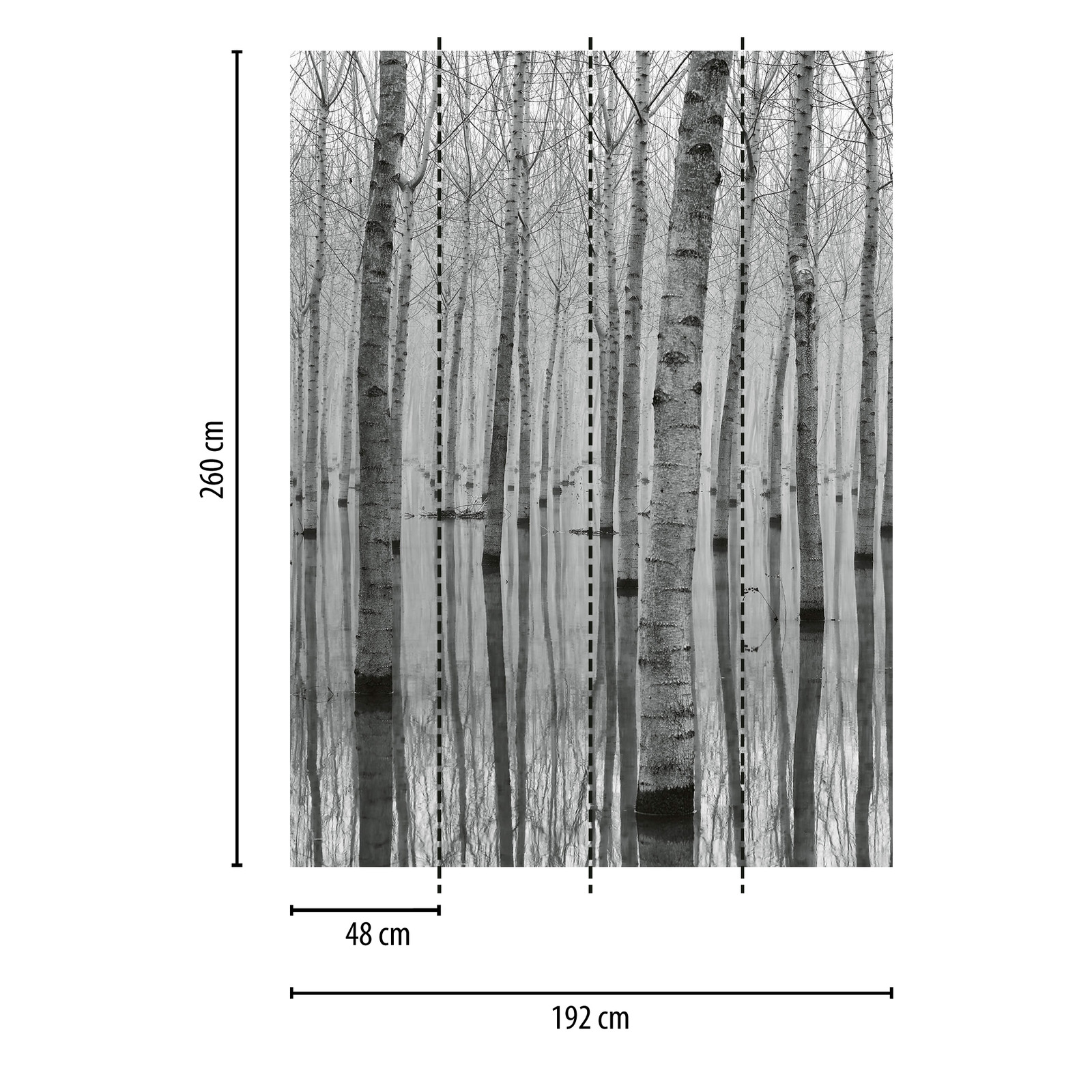             Fototapete Birkenwald im Wasser – Schwarz, Weiß, Grau
        
