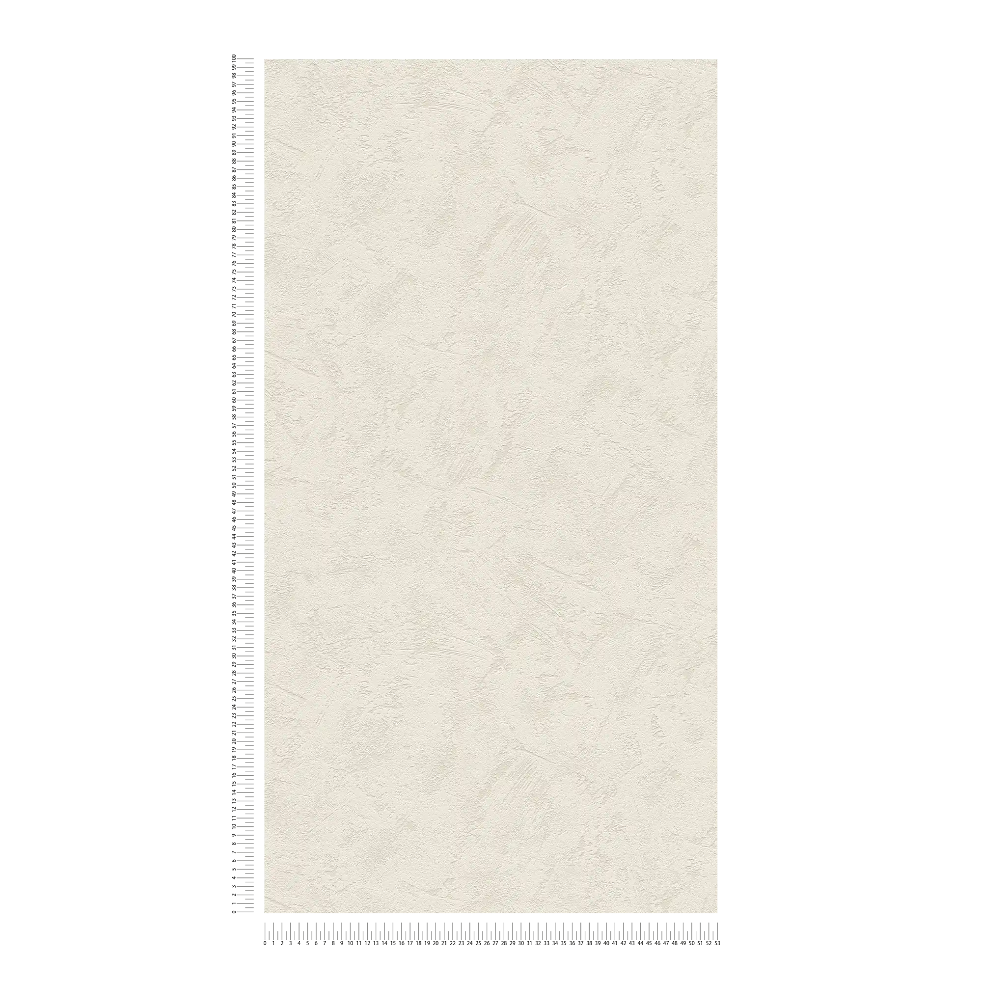             Klassische Putzoptik Tapete helles Grau mit Kellenputz Muster
        