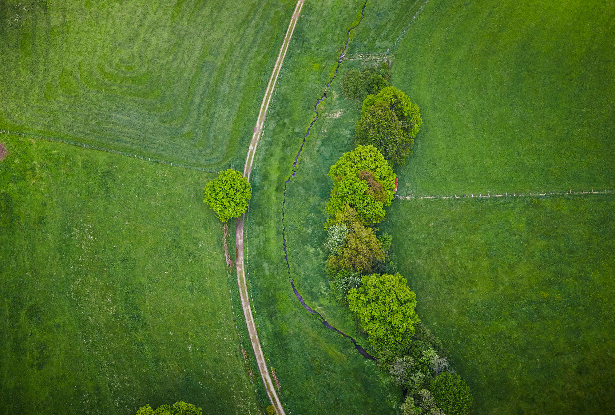             Gras Landschaft aus der Vogelperspektive – Feld mit Bäumen
        