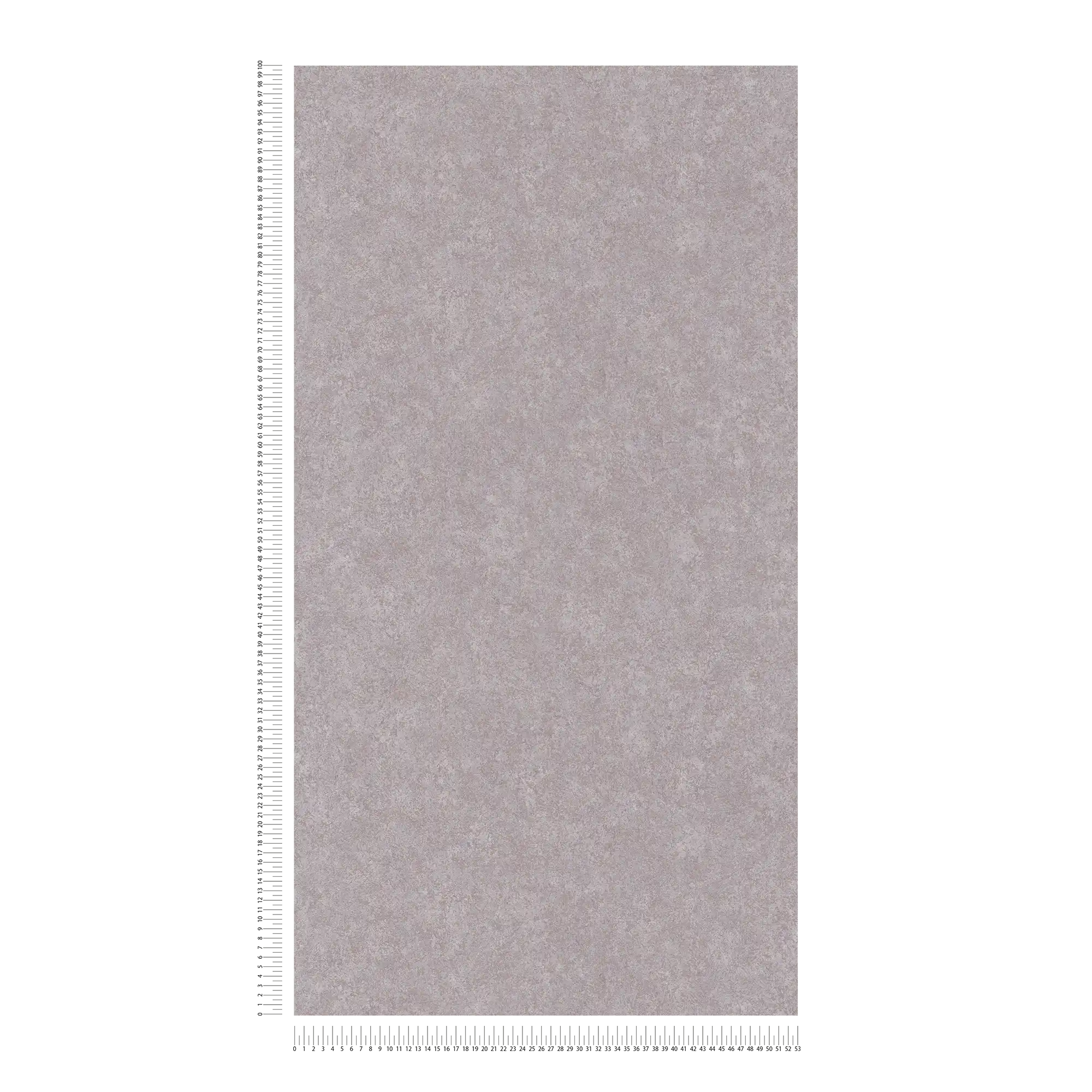             Neutrale Putzoptik Tapete mit matter Oberfläche – Grau
        