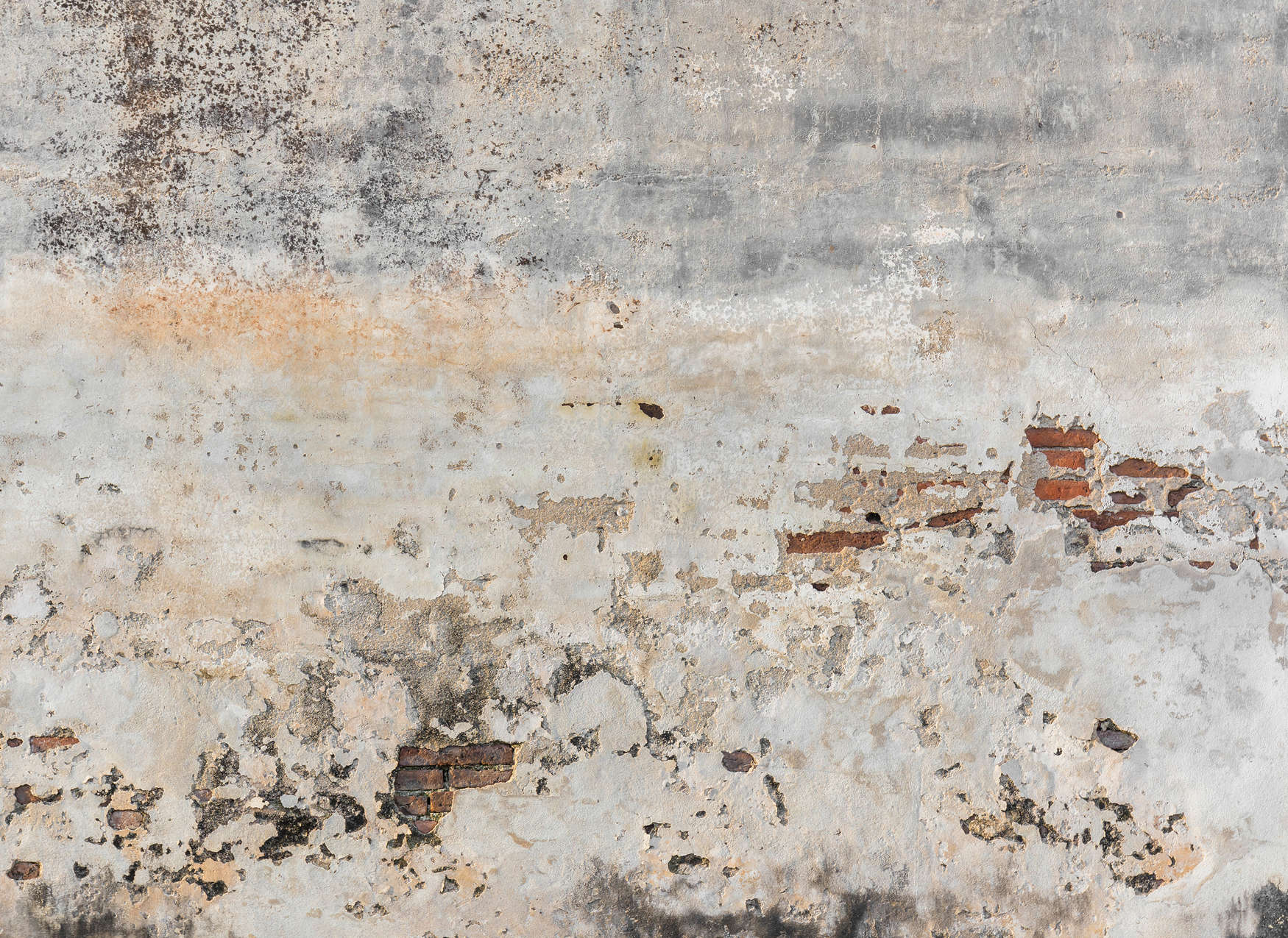            Fototapete alte & verputzte Ziegelsteinmauer – Grau, Braun
        