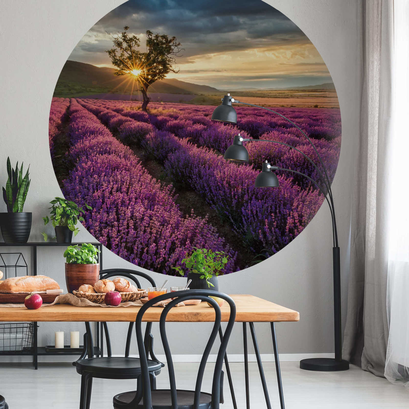             Fototapete rund Lavendelfeld in der Provence
        