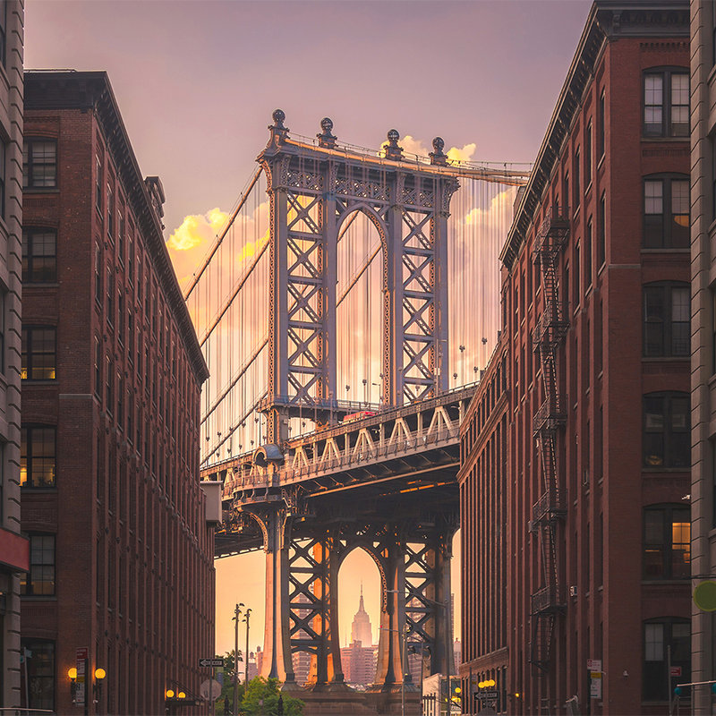 Brooklyn Bridge aus Straßenansicht – Braun, Grau
