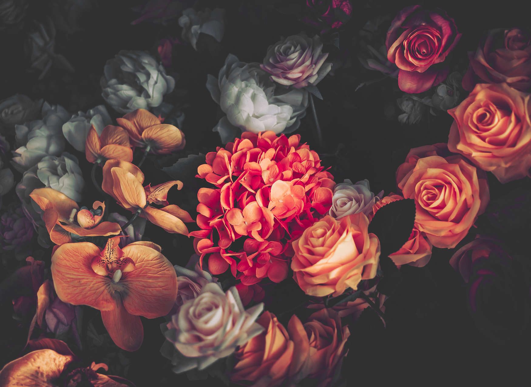             Blumenstrauß Fototapete – Rot, Orange, Rosa
        
