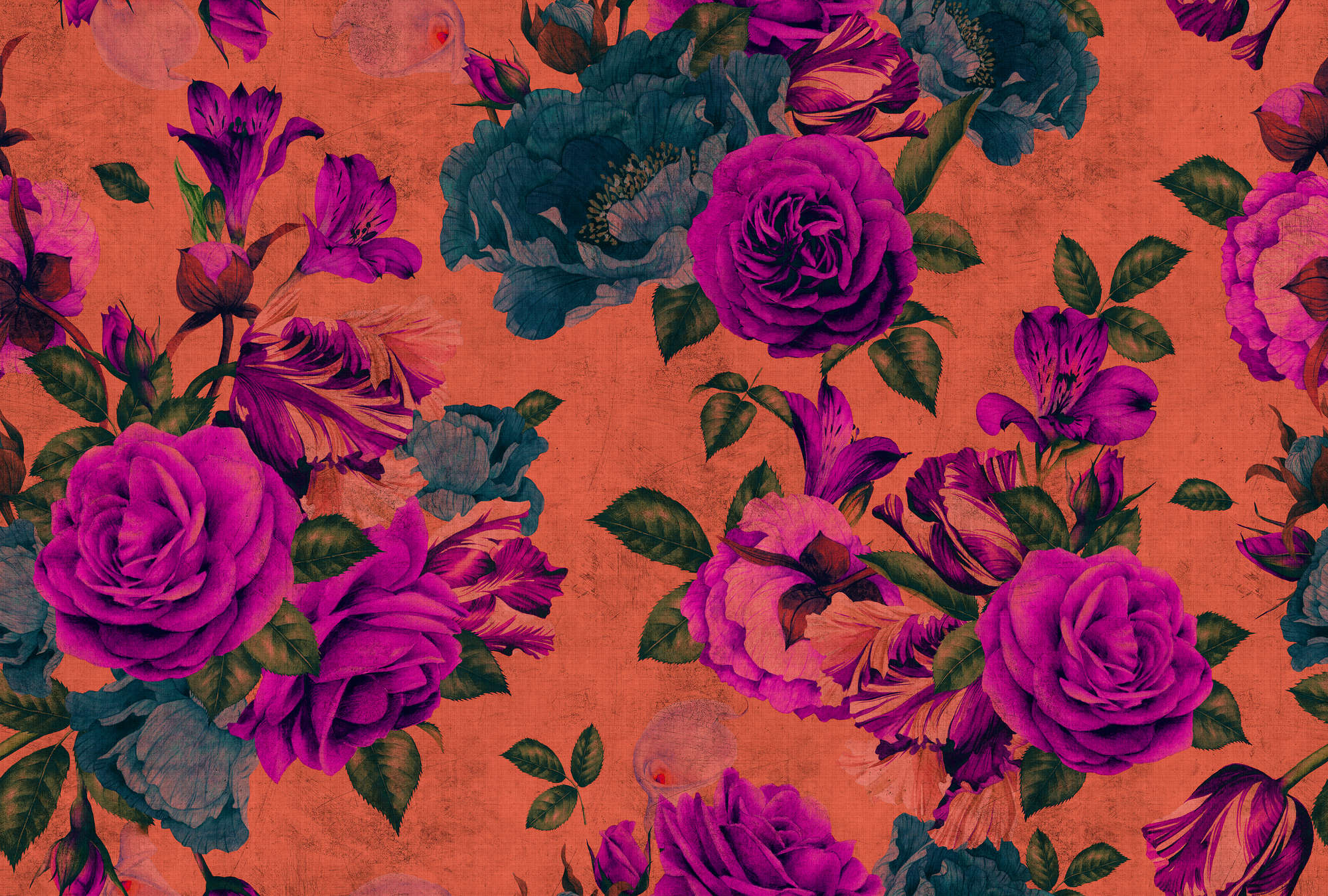             Spanish rose 2 - Rosenblüten Fototapete, natürlich Struktur mit leuchtenden Farben – Orange, Violett | Premium Glattvlies
        