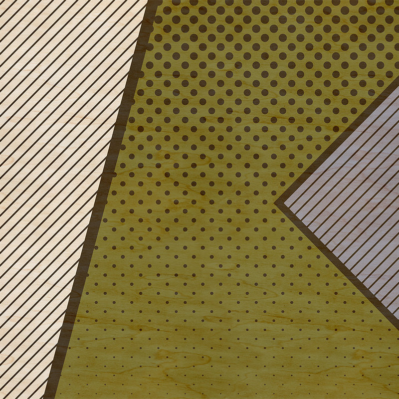         Bird gang 2 - Fototapete, modernes Muster im Pop Art Stil- Sperrholz Struktur – Beige, Gelb | Premium Glattvlies
    