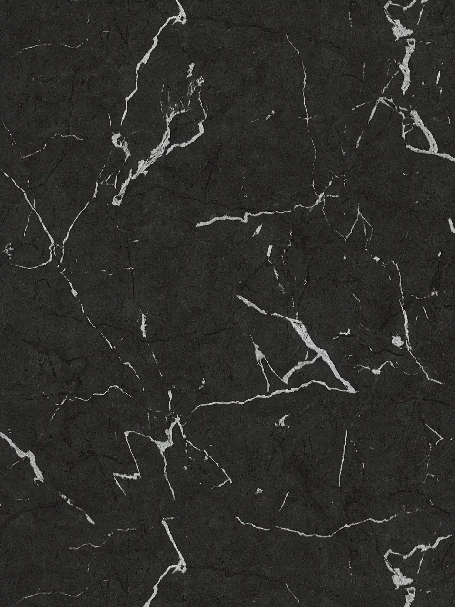         Schwarze Marmor Tapete mit Silber-Effekt – Grau, Metallic, Schwarz
    