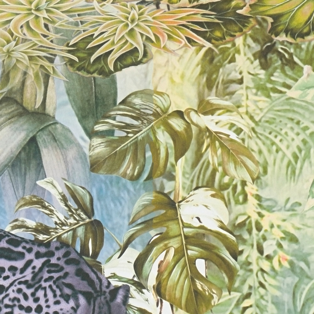             Dschungel Tapete Papagei & Leopard – Grün, Rosa, Grau
        