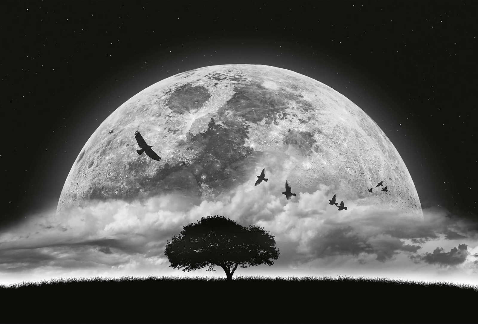         Fototapete Mond und Vögel – Schwarz, Weiß
    