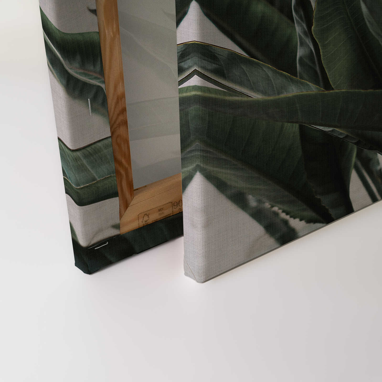             Urban jungle 2 - Palmenblätter Leinwandbild, naturleinen Struktur exotische Pflanzen – 0,90 m x 0,60 m
        