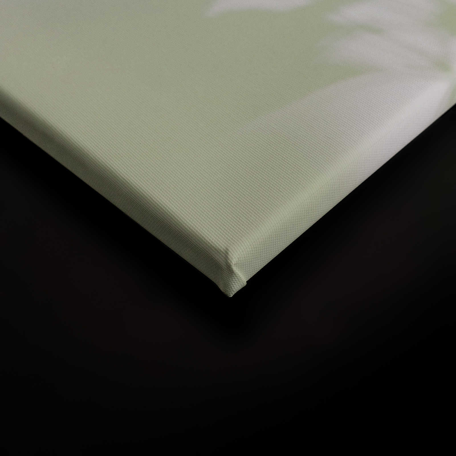             Shadow Room 3 - Natur Leinwandbild Grün & Weiß, verblasstes Design – 1,20 m x 0,80 m
        