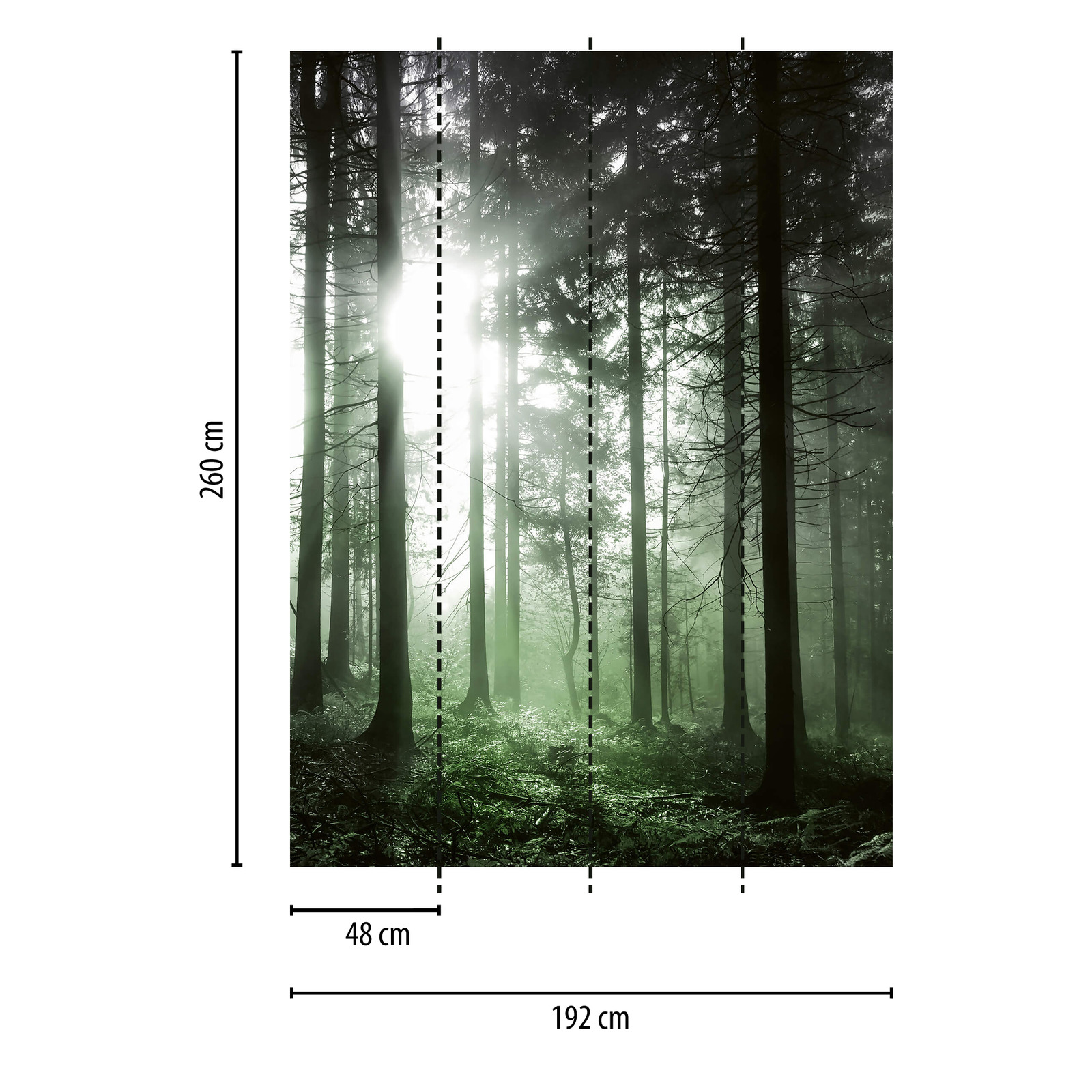             Fototapete Sonnenstrahlen im Wald – Grün, Schwarz, Weiß
        