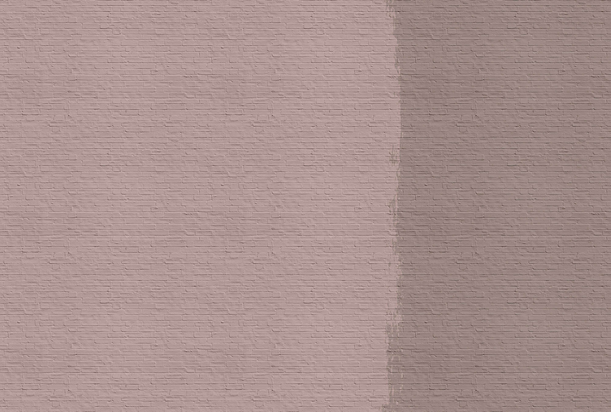             Tainted love 2 - Fototapete mit gestrichener Ziegelwand – Rosa, Taupe | Struktur Vlies
        