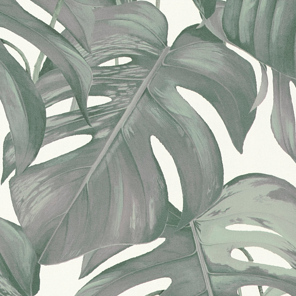             Blätter Tapete tropisches Monstera Muster – Grün, Weiß
        