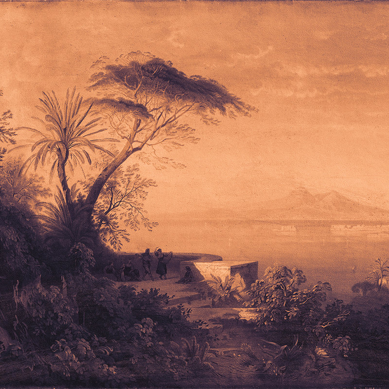 Fototapete Gemälde, tropischer Landschaft & Sepia Look – Violett, Orange
