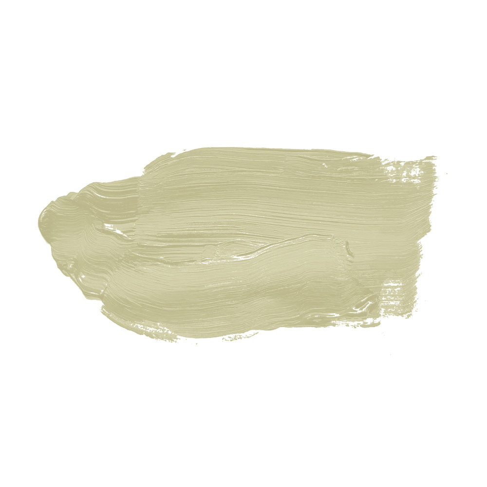             Wandfarbe in zartem Pastellgrün »Warm Wasabi« TCK4001 – 2,5 Liter
        
