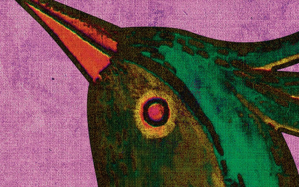             Bird Of Paradis 2 - Digitaldrucktapete Paradiesvogel in naturleinen Struktur – Gelb, Grün | Perlmutt Glattvlies
        