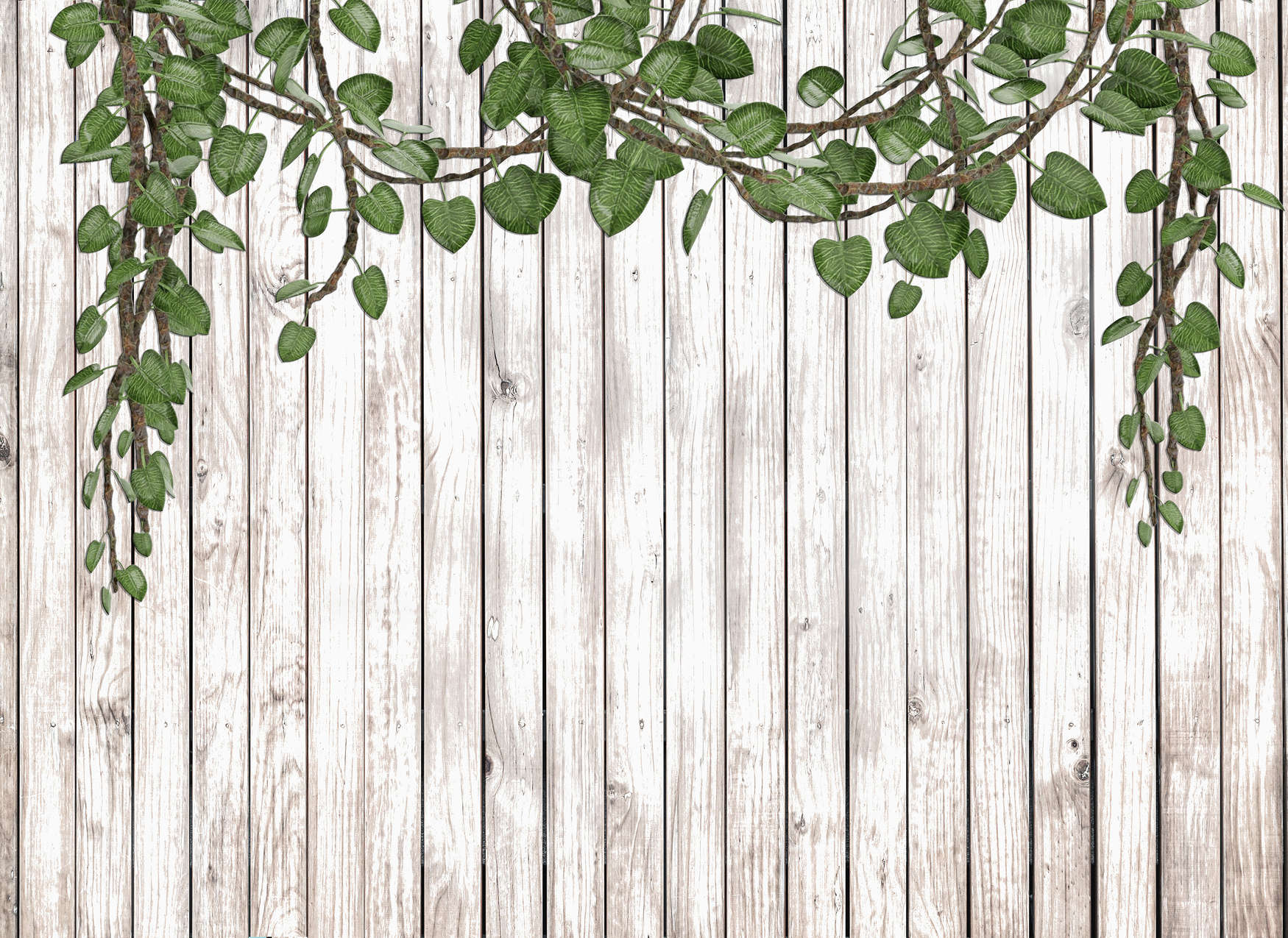             Fototapete Holzwand mit herabragenden Blättern naturell – Grün, Beige
        