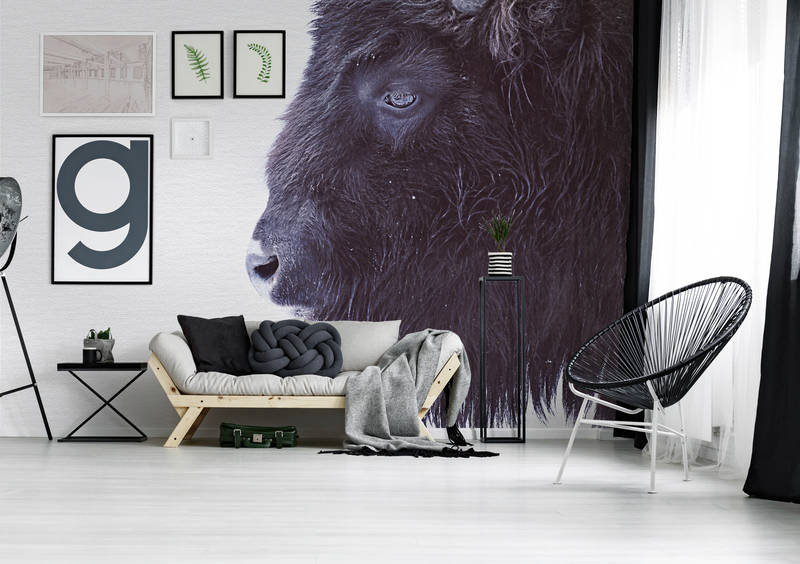             Tierische Fototapete mit Schwarzem Büffel im XXL Design
        