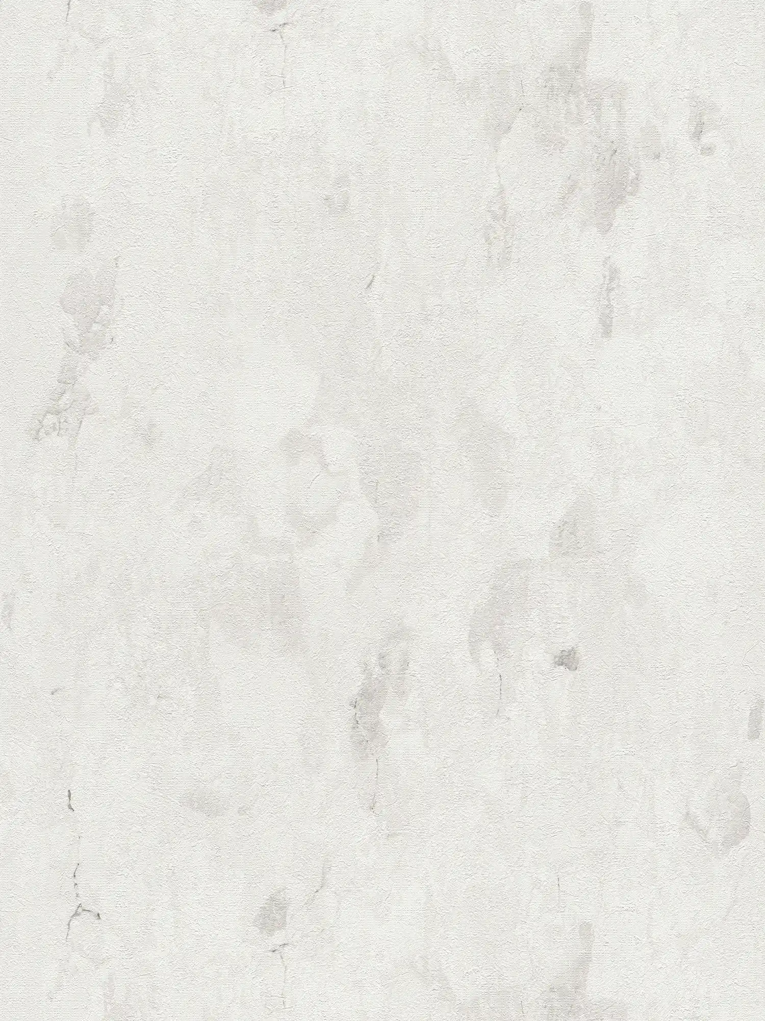        Vliestapete mit rustikalem Design im Used Look – Creme, Grau, Weiß
    