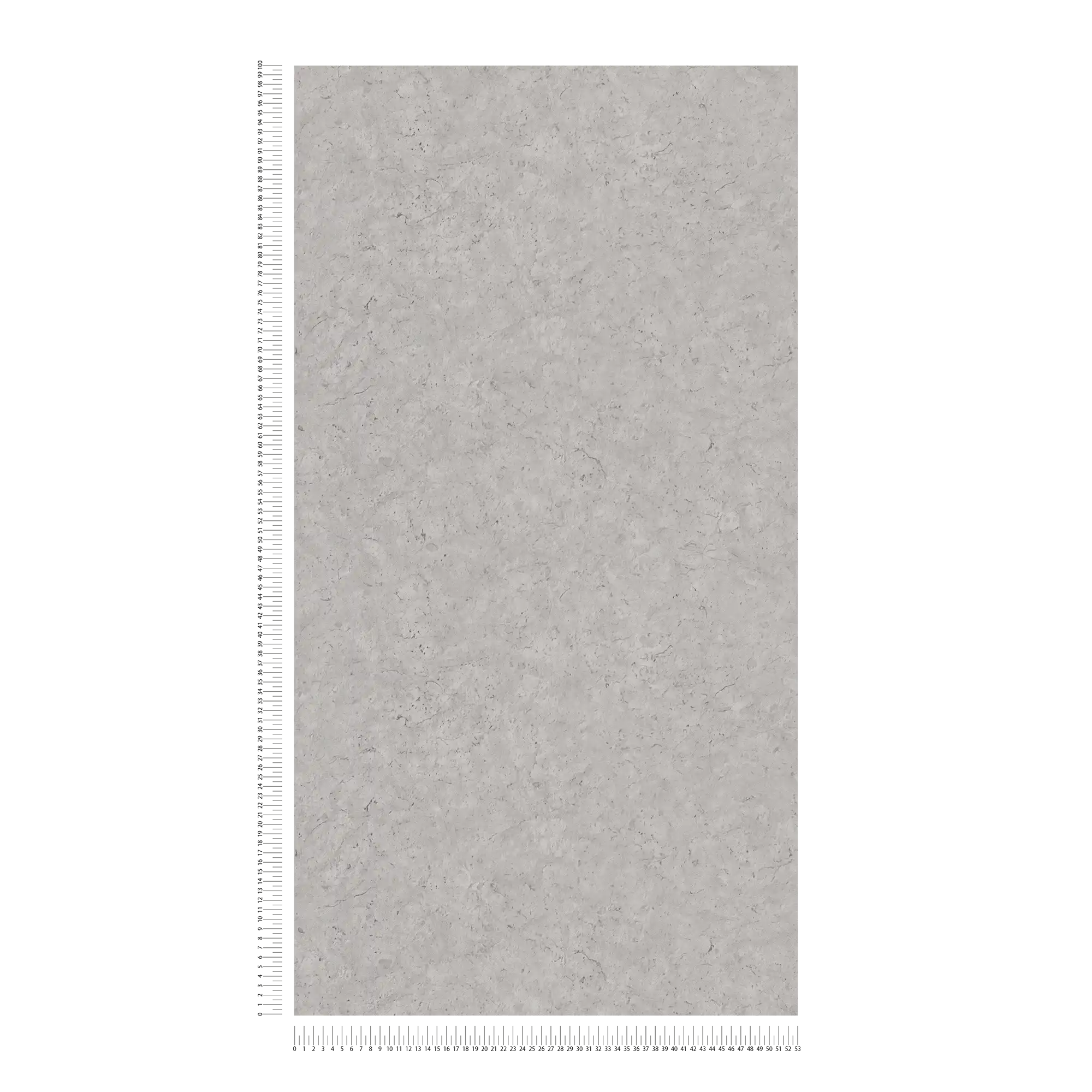             Betonoptik Tapete mit dezentem Muster – Grau
        