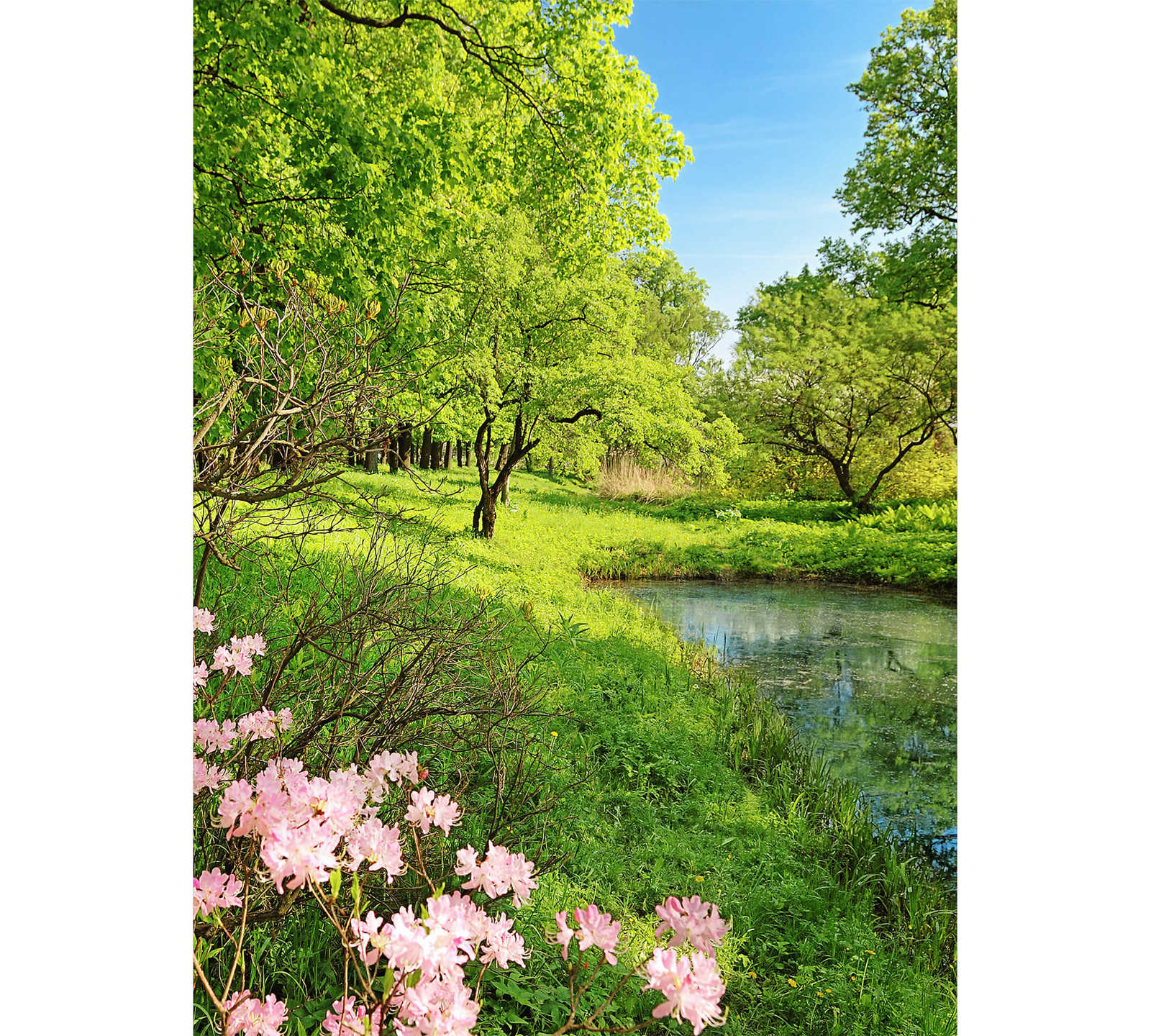 Frühling Fototapete mit Naturlandschaft, Hochformat

