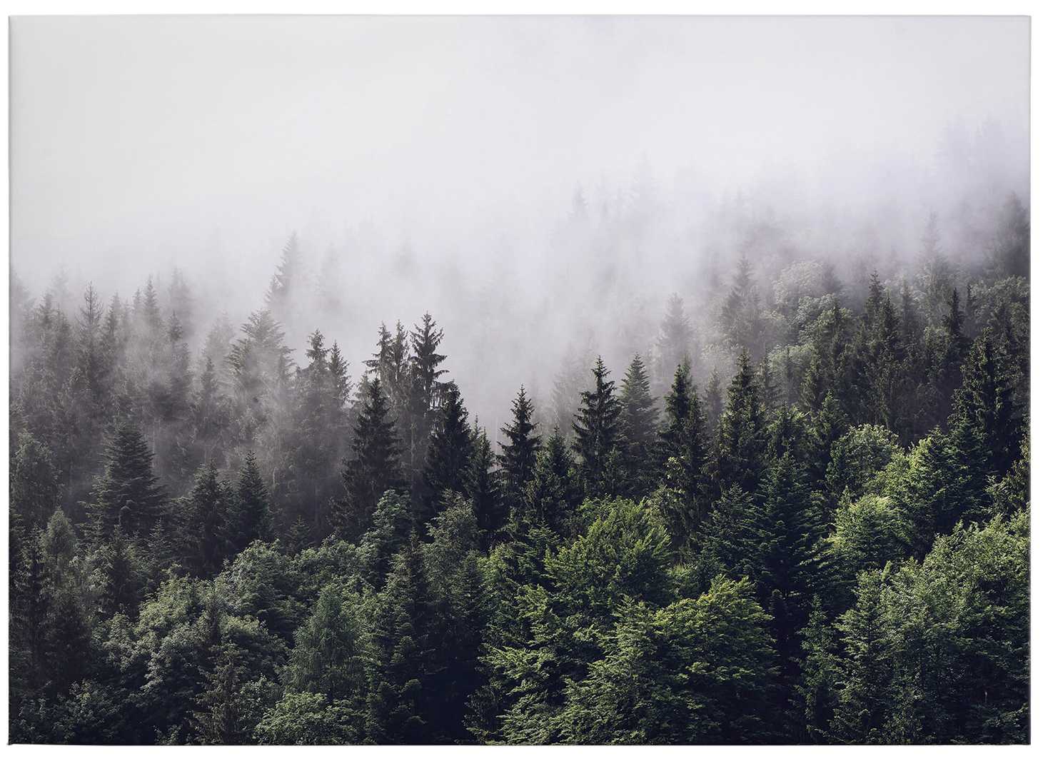             Leinwandbild Wald im Morgennebel – 0,70 m x 0,50 m
        