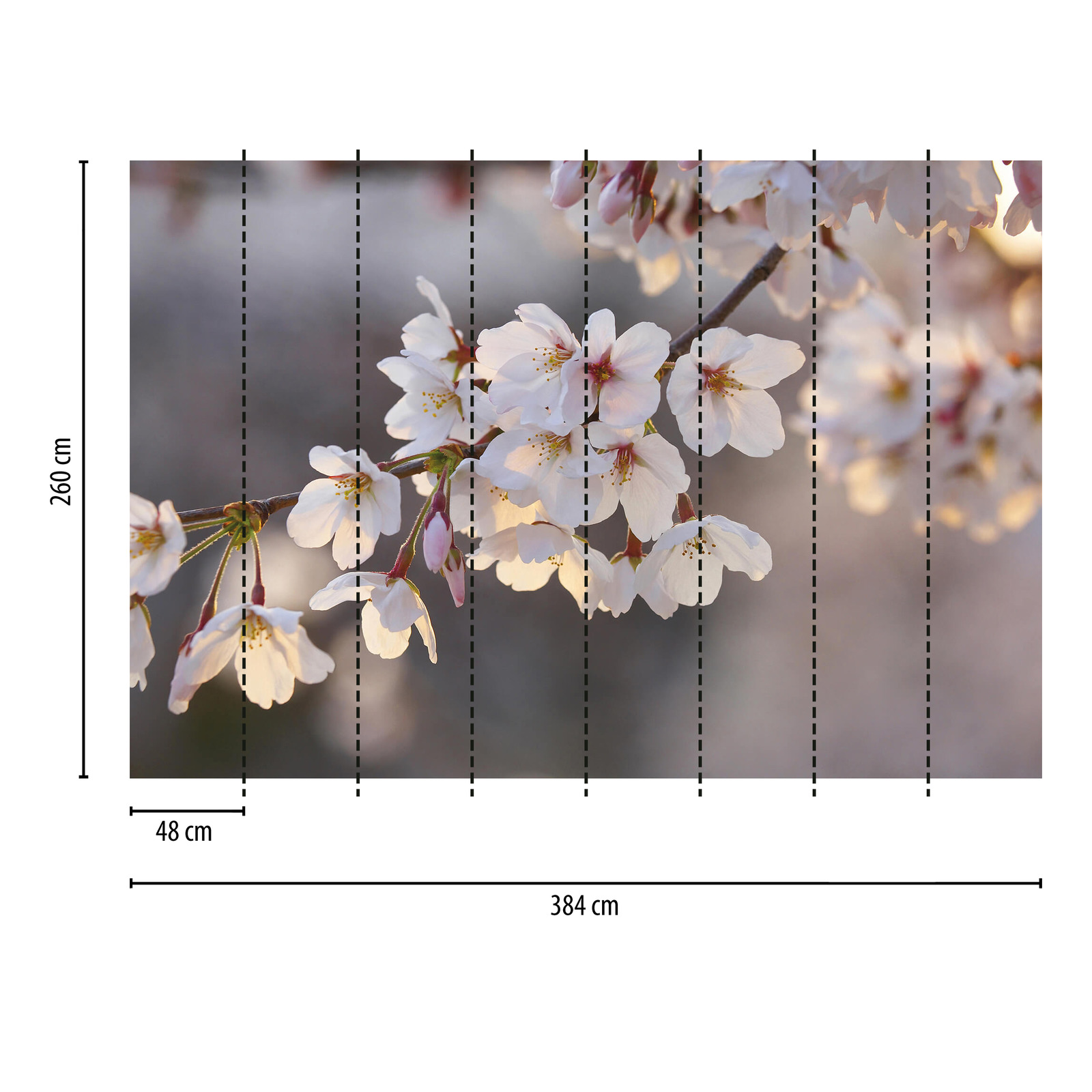             Fototapete Kirschblüten – Weiß, Rosa, Braun
        