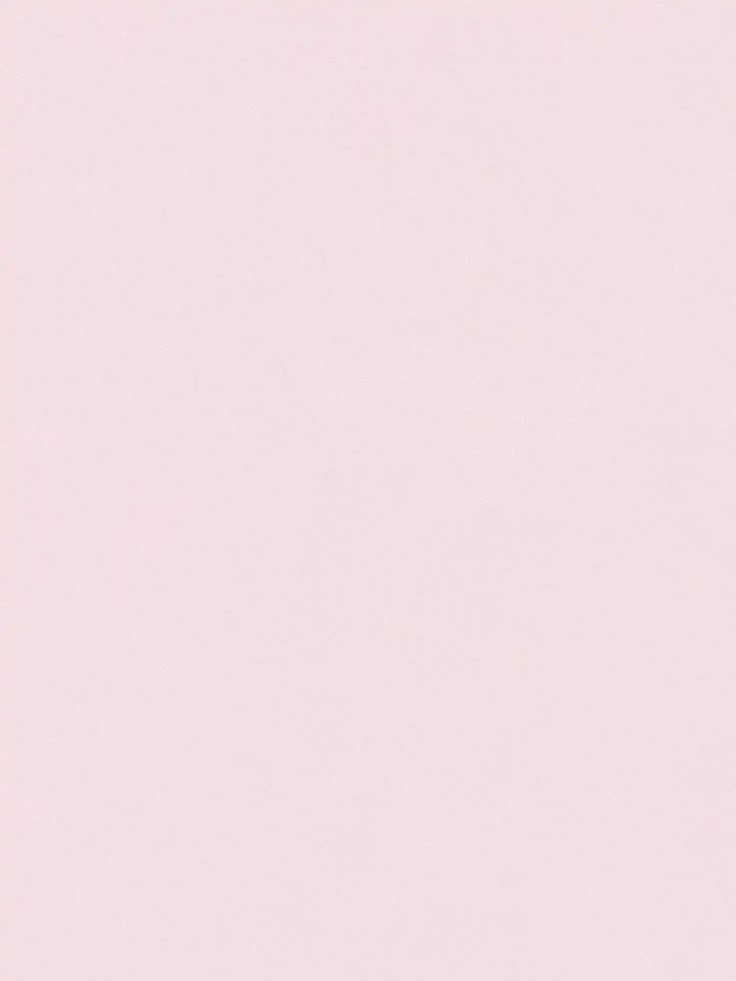         Zartrosa Tapete einfarbig Blush-Farbe matt – Rosa
    