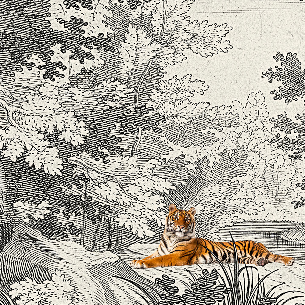             Fancy Forest 2 – Fototapete Landschaftsbild Klassik mit Tiger
        