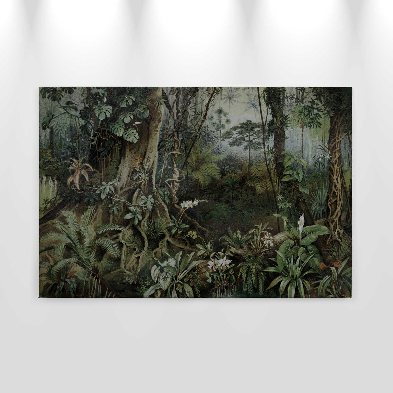             Dschungel Leinwandbild im Zeichenstil | walls by patel – 0,90 m x 0,60 m
        