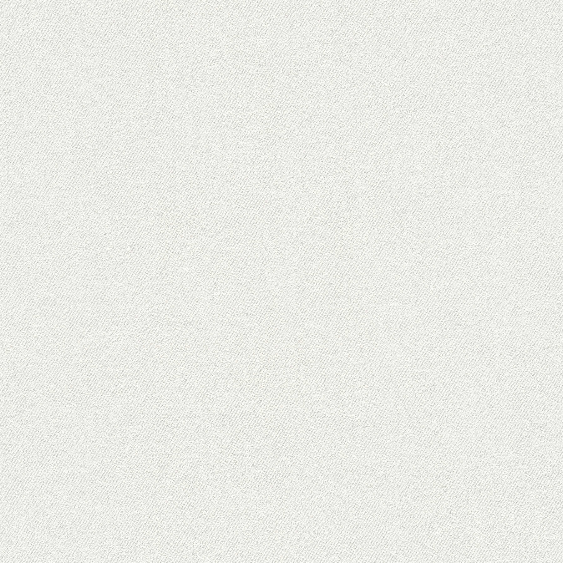 Vliestapete Weiß einfarbig matt mit Schaumstruktur
