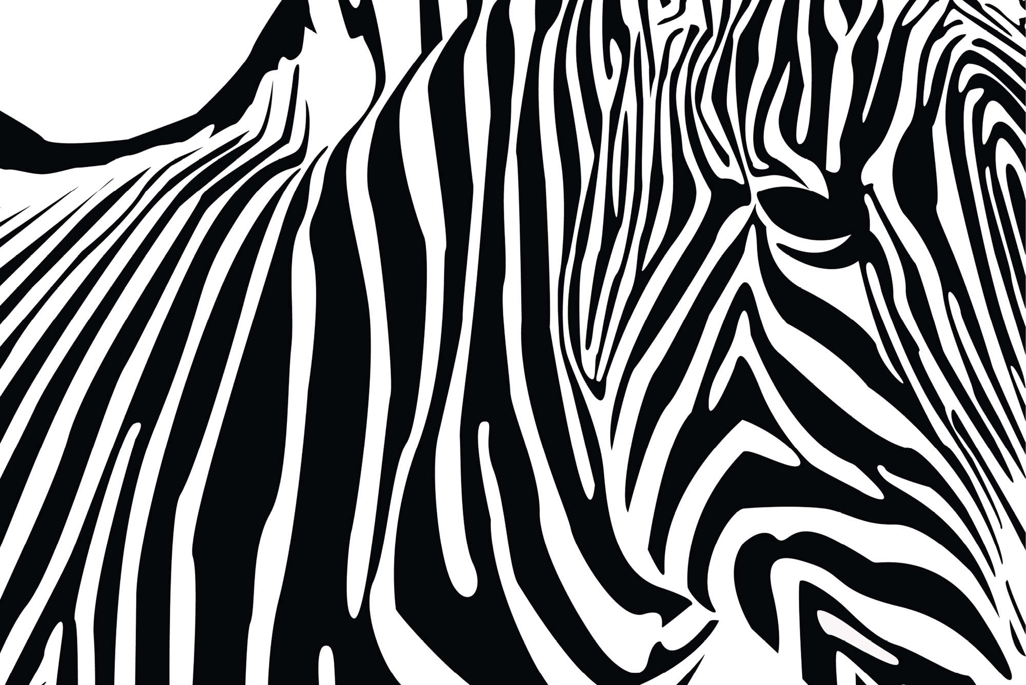             Fototapete mit Zebra Muster – Mattes Glattvlies
        
