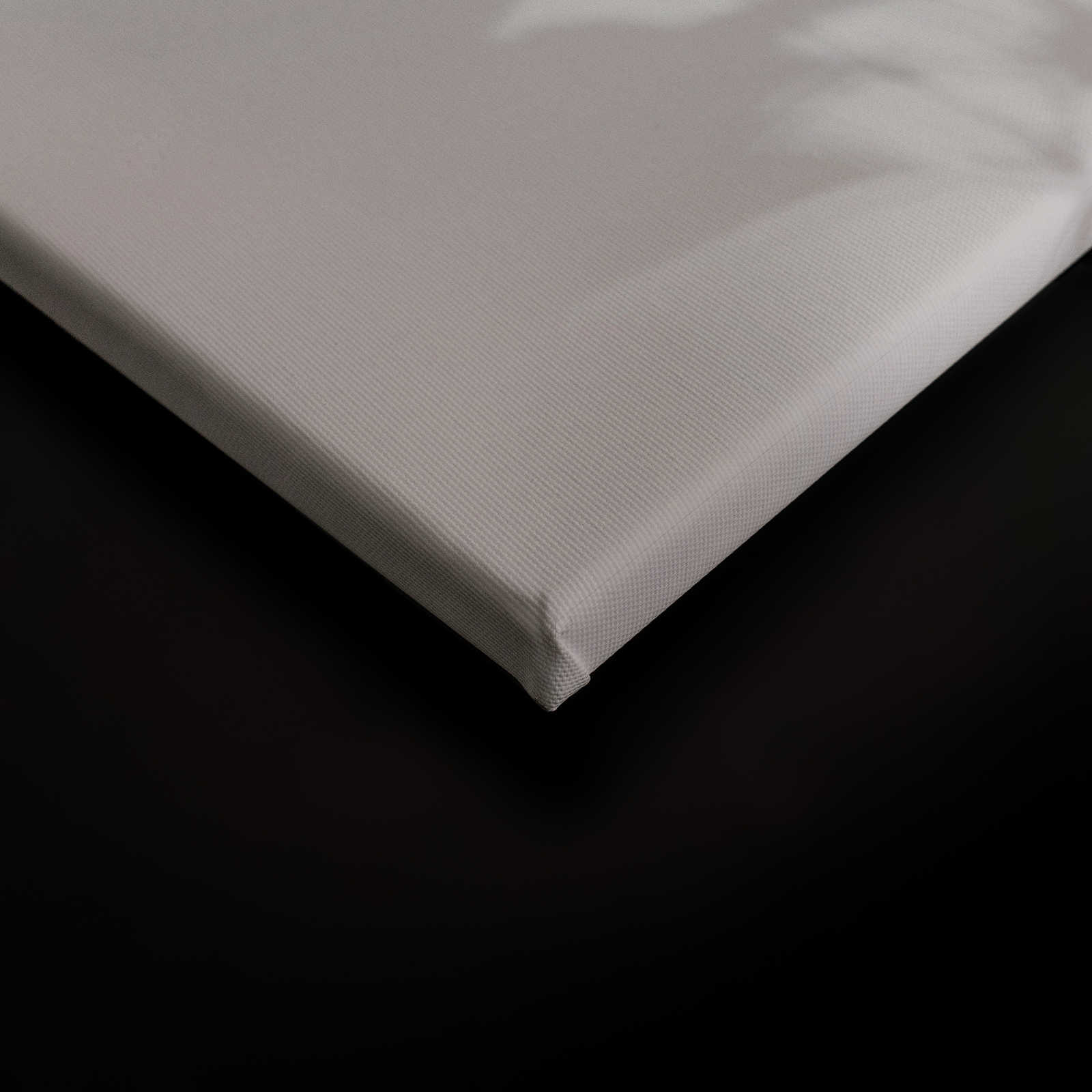             Shadow Room 2 - Natur Leinwandbild Grau & Weiß, verblasstes Design – 1,20 m x 0,80 m
        