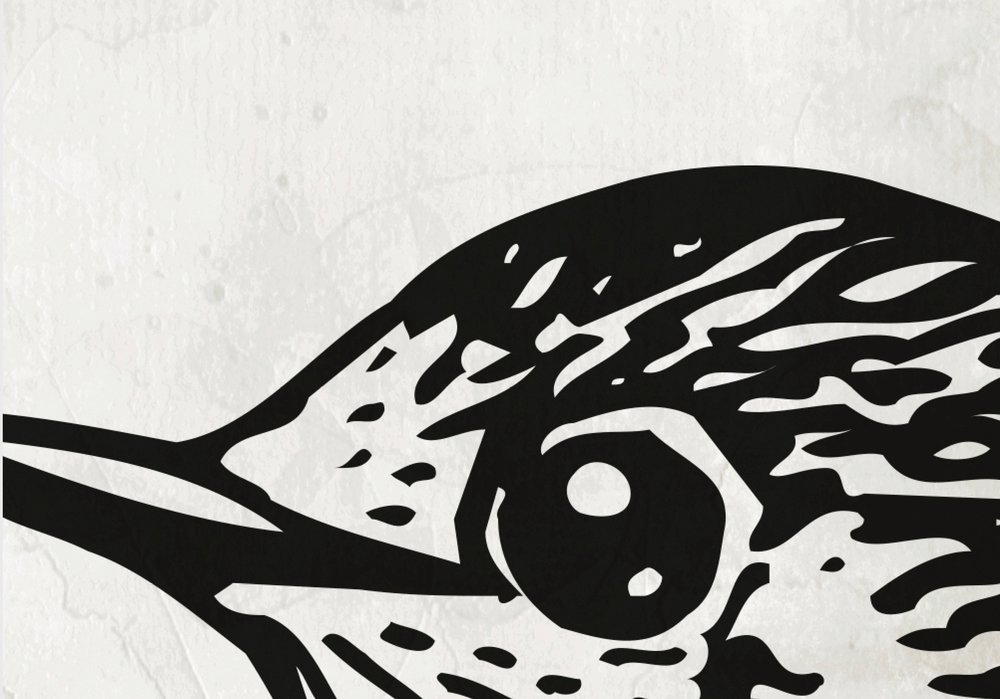             Schwarz-Weiß Fototapete mit Vogel – Walls by Patel
        