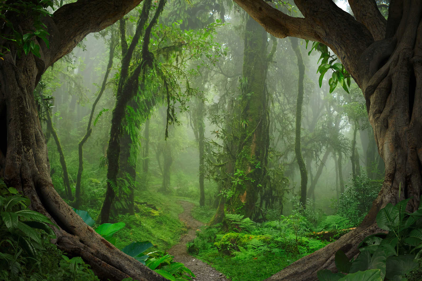             Magische Tropenwald Leinwand – 0,90 m x 0,60 m
        
