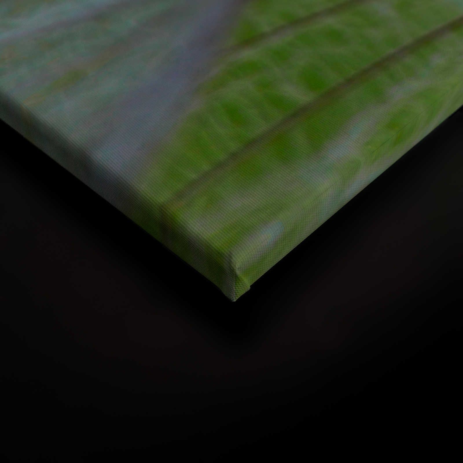             Leinwandbild Detailaufnahme mit Pusteblumen – 0,90 m x 0,60 m
        