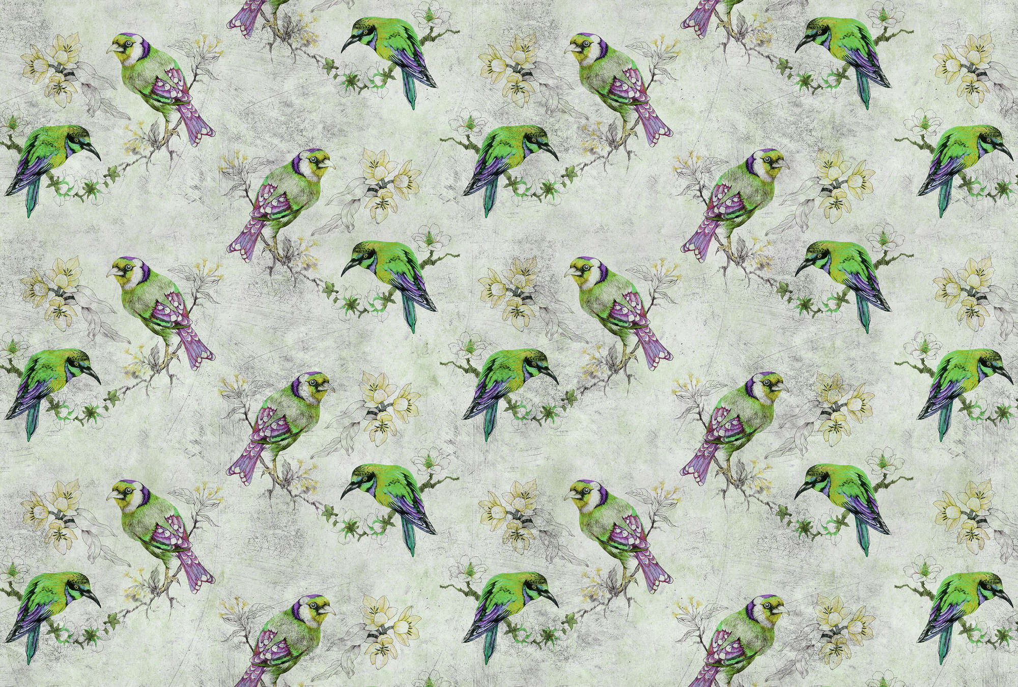             Love birds 2 - Bunte Fototapete in kratzer Struktur mit skizzierten Vögeln – Grau, Grün | Perlmutt Glattvlies
        