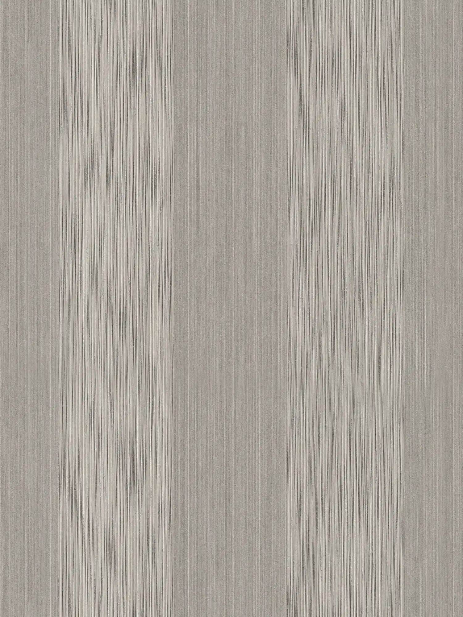         Melierte Streifen Tapete mit Struktureffekt – Grau
    