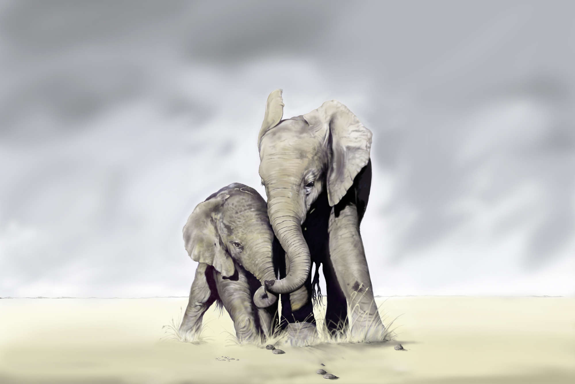             Tier Fototapete freie Elefanten – Mattes Glattvlies
        